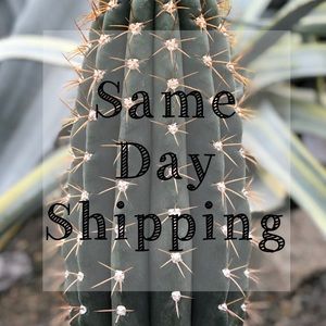 Same day shipping!